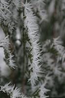 IMG 5663