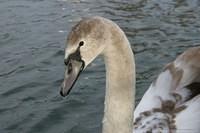 IMG 5901