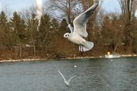 IMG 5904