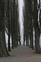 IMG 5956