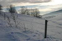 IMG 6109