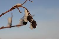 IMG 6127