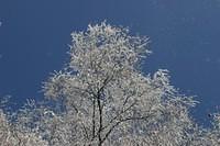 IMG 6197 1