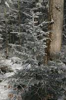 IMG 6207 1