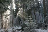 IMG 6220 1