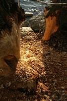 IMG 6253