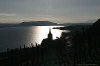 IMG 6263