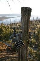 IMG 6276