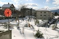 IMG 6887