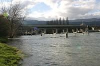 IMG 7350