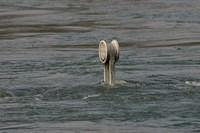 IMG 7351