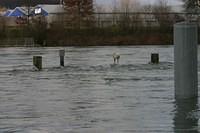 IMG 7354
