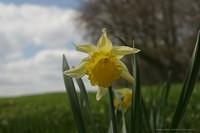 IMG 7474