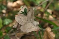 IMG 7480