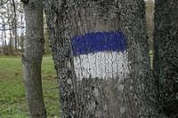 IMG 7491