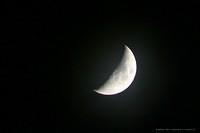 IMG 7562