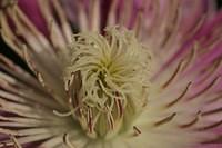 IMG 7768