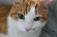 IMG 8856