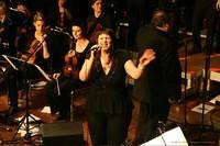 IMG 7471
