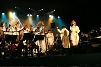 IMG 7596