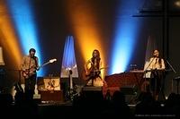IMG 7729