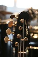 IMG 9761