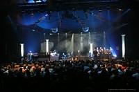 IMG 6536