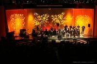 IMG 6319
