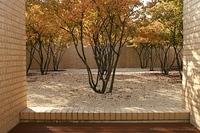 IMG 5779