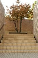 IMG 5781