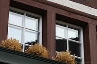 IMG 5811