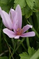 IMG 5824