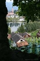 IMG 5828