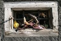IMG 5845