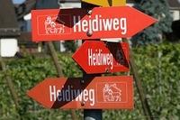 IMG 5859