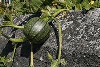 IMG 5860