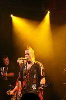 IMG 4706
